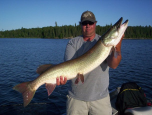 2387d8b6-7986-4110-9797-7bcdb3a4c2d8