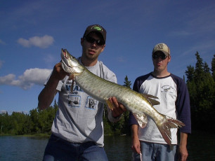 23f2982c-1bb0-4487-a16e-ddf197cffe40