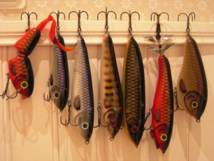 240477FD-16C7-4B11-9C03-691C5A834C49