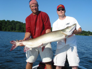 2407ab0d-7018-4ded-ae77-4ab576b6734e