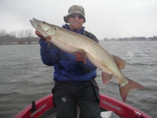 241d874b-e8be-459a-986c-9237e0f6d61c