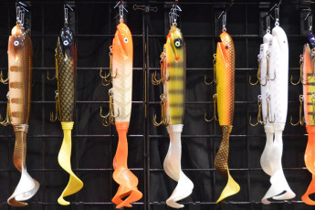 24DF2A59-49BE-4915-AC89-21D3093E7951