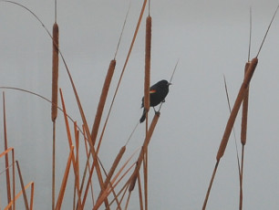 24F5C8EE-6977-4BB9-B328-24B9EE71D9D9