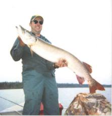 24cddb4d-67b5-4cca-9e35-1642cbd00949