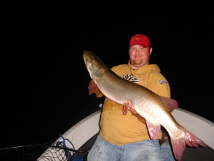 2531b82c-c6ea-4fdb-8f86-d130853df4a3