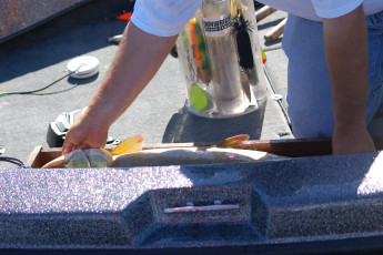 2534A5C9-F6C7-4E12-B7B4-7CB185F82C1E