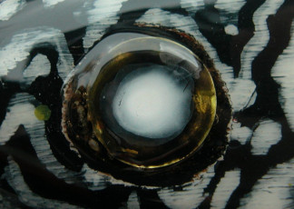 2543f38e-65e2-41f5-9217-b6fa3dba0f26