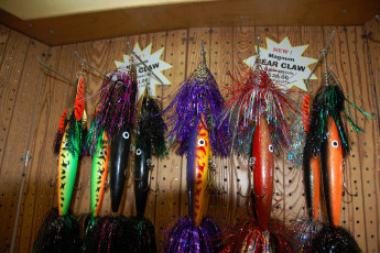 2556283B-BE70-4BD4-9CC5-A8AAE65CCA3A