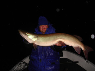 25ec7082-282f-44d2-b513-897fe9d68429