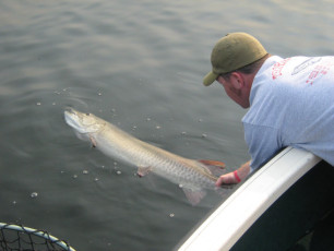 261b20a7-77da-404d-a92d-c4691f2bdd23