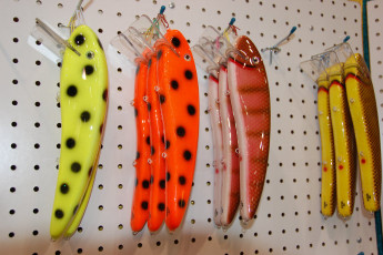 265584E5-58D4-4B55-9DB4-5B7AC329316E