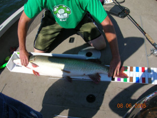 26853f7b-fd97-4c06-a2fb-f3d0a1ae578f