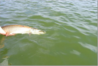 26DBB91C-A315-4E4E-A977-685592A09C2A