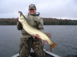 26e55ab6-370c-4374-818f-47cce22a461c