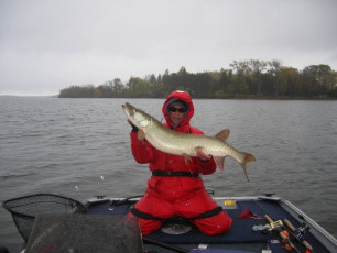 2716B2EB-F709-415D-B3D8-32AE08F10AD8