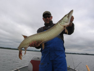 27282789-92A5-4BA4-952F-99F23D4F7E58