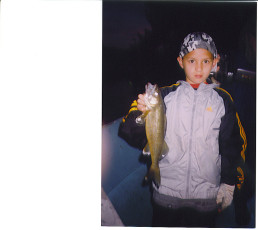 28268834-f668-45df-8d79-34129d1dba7d