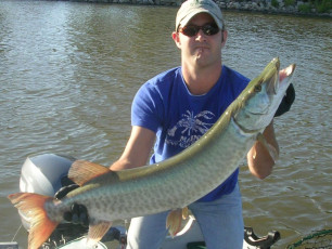 2856A516-A460-461C-9CA6-40E9A195C6B9