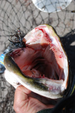 28EB1288-C316-4E72-A311-29C1F8DB9911