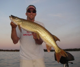 28b73d70-f94a-49de-b26b-ff6a6048c641