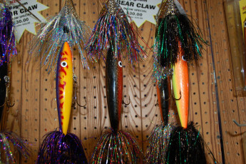 2937BF88-251C-4E11-A13E-BDB4C9DC1558