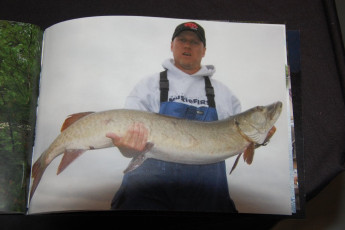 2998512D-B2CA-4CB1-AF53-FEDE6FAE2879