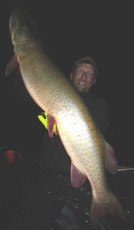 29E45C32-E114-4DD5-BE68-9C81BFA087CD