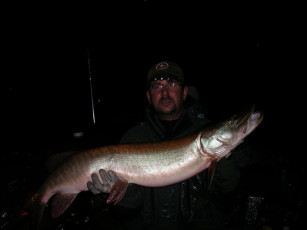 29e1ae06-b620-4e65-8c1f-53454eb65781