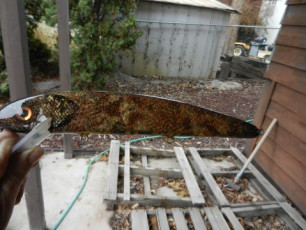 2A46BD2A-DF73-41AB-A7D4-260CDD1C4809