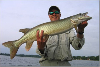 2AEB7132-D2C1-470C-838B-8514CD1376C6