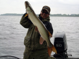 2B3F9725-C77E-465F-8FCB-F053FFE8AA44