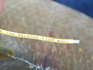 2B4A77A9-B965-4D7A-BA6C-857ACB3B2D6A