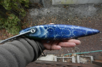 2BBC3B6B-9A04-44B4-83B7-A3DE215EB0F7