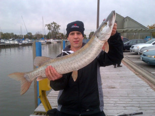 2D804B16-8A54-4AE4-AE2D-AF0046418FBD