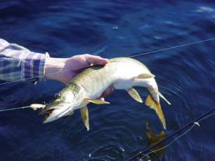 2D9C3791-CE5A-4B97-B573-97F7FD49F65A