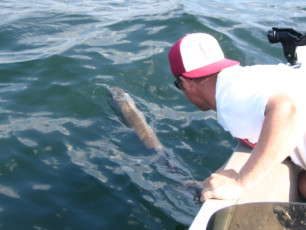 2a8d3277-6ec6-437a-9088-c175872f2962