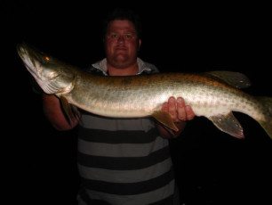 2c769bd3-392d-40a9-9626-bff3584d7725