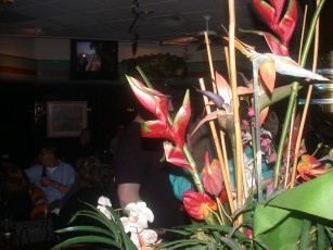 2cbb0056-9a86-4527-8456-aeeb973881da