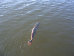 2d089dc6-2abb-4355-b30f-e48e410a92e8