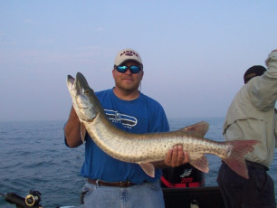 2d85636d-ca5e-4606-9ef2-1247bfcd0941