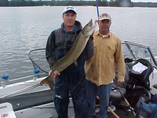 2e0ff0c3-1de3-4485-8772-9080de58c123