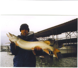 2eb07d53-9a05-4a3a-9ddd-785de0b14c9f