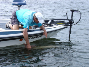 2f00df6d-07d5-4ed5-a72a-509de5787415