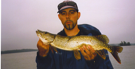 2f5104e3-57e1-402e-8cc5-c3f10c6b6d81