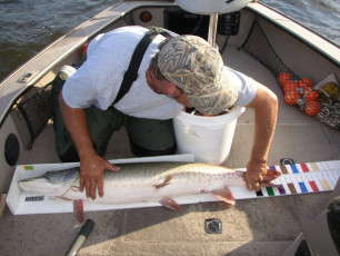 2f656cf5-0070-4755-9fbd-182abc507efb