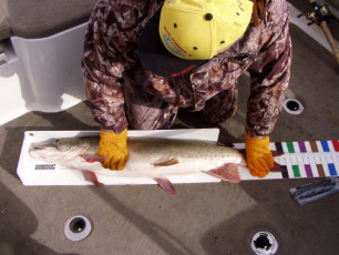 2f6e6795-2a63-4b1e-8660-e9ff3f096a84