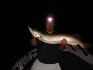 2ff17caa-d6b4-46f2-9bd5-451167fca9c7