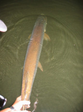 e4294598-d669-4589-be6d-9dc068e0d3af