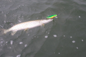 301eacbd-40db-4470-a9b7-b2b497489ee0