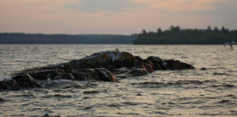 3041E6FD-E8DE-42BF-AA54-7B22C94786DC